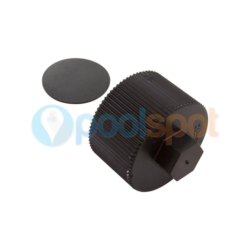 Drain Cap Assembly for Sta-Rite Posi-Clear RP