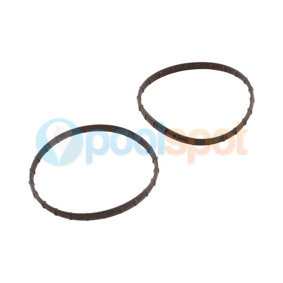 Union Diamond Seal (2PK) for Sta-Rite Posi-Clear RP