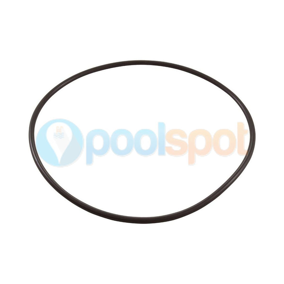 Tank O Ring for Sta-Rite Posi-Clear RP