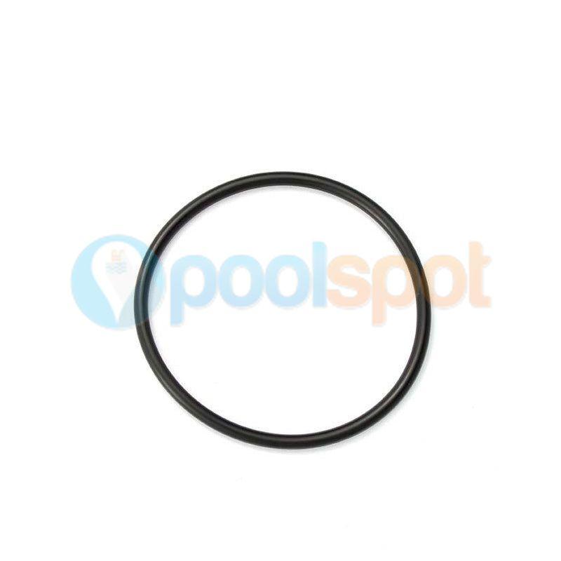 O Ring Union Poolrite Dominator Pump