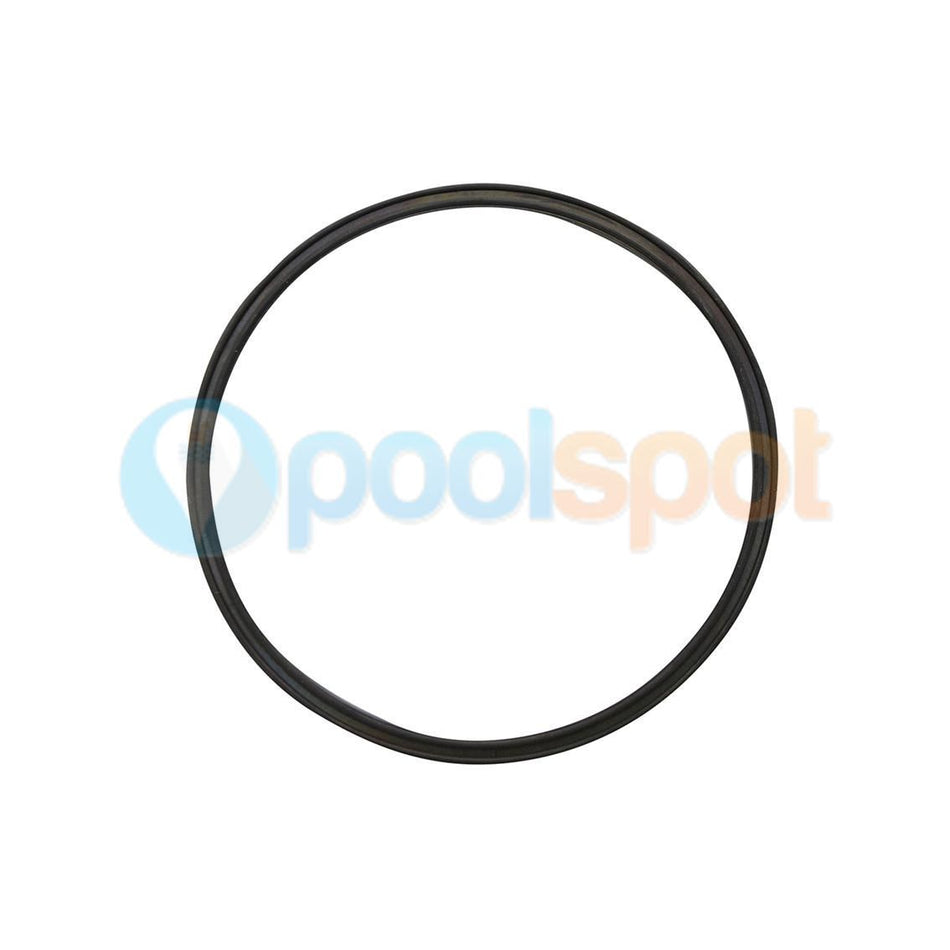 Seal for Zodiac Cyclonic Leaf Canister
