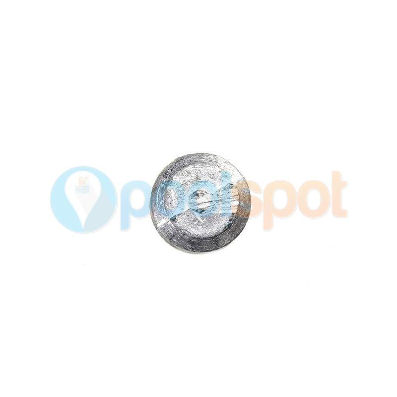 Weight for Zodiac Pacer